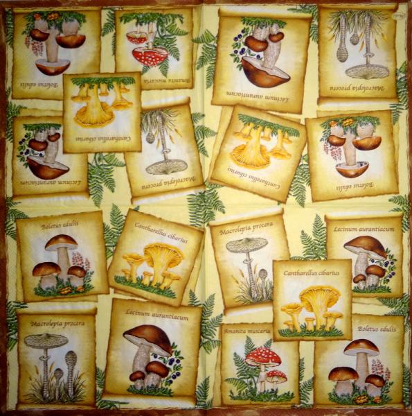 228 Herbst - 3-lagig - Maki